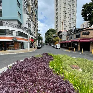 Proximo Ao Allianz Parque São Paulo